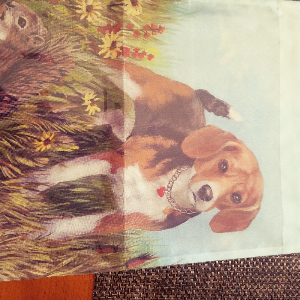 preciouspetpaintings